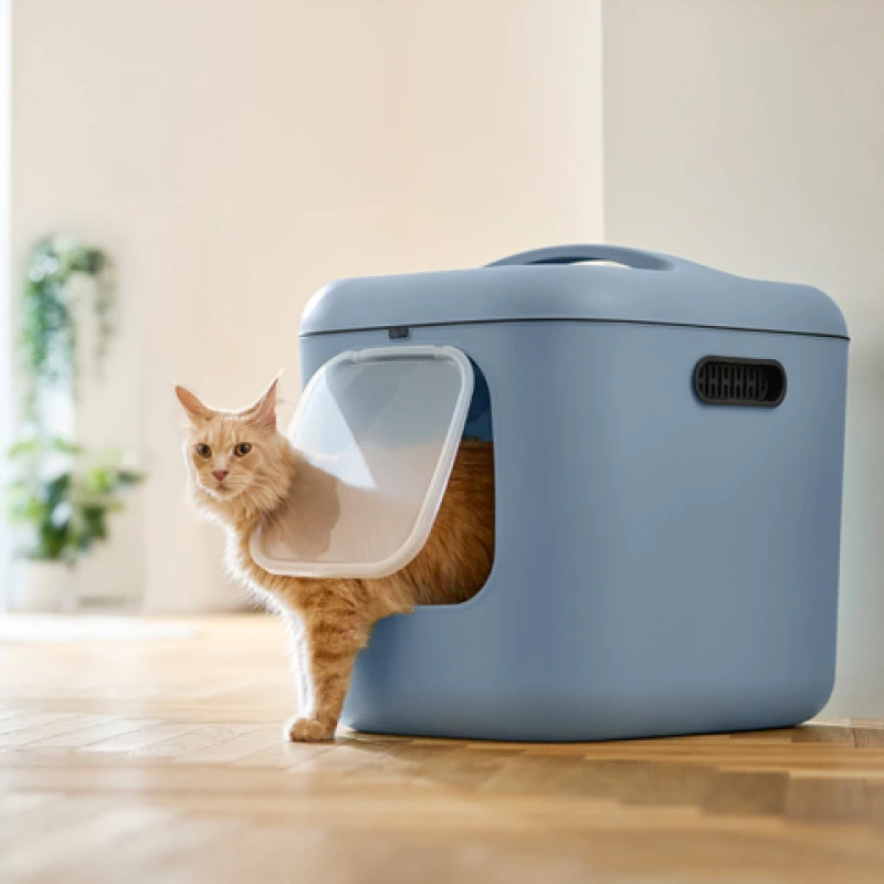 Κλειστή Λεκάνη Γάτας Rotho MyPet Biala XL ECO 61,4x49,9x57,6cm Γαλάζιο Γάτες Κλειστή Λεκάνη Γάτας Rotho MyPet Biala XL ECO 61,4x49,9x57,6cm Γαλάζιο Γάτες