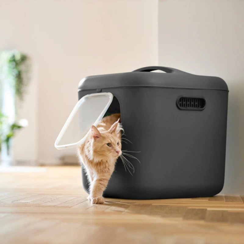 Κλειστή Λεκάνη Γάτας Rotho MyPet Biala XL ECO 61,4x49,9x57,6cm Γκρι Ανοιχτό Γάτες Κλειστή Λεκάνη Γάτας Rotho MyPet Biala XL ECO 61,4x49,9x57,6cm Γκρι Ανοιχτό Γάτες