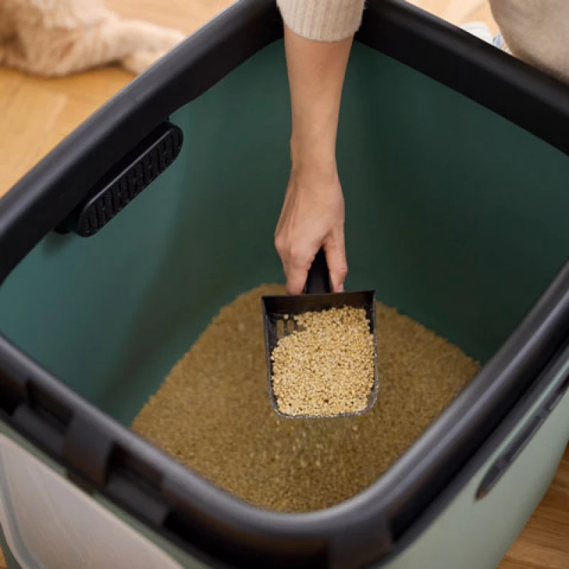 Κλειστή Λεκάνη Γάτας Rotho MyPet Biala XL ECO 61,4x49,9x57,6cm Πράσινο Γάτες Κλειστή Λεκάνη Γάτας Rotho MyPet Biala XL ECO 61,4x49,9x57,6cm Πράσινο Γάτες