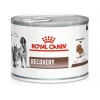 Κλινική Κονσέρβα Royal Canin Recovery 195gr για Σκύλους και Γάτες Σκύλοι Κλινική Κονσέρβα Royal Canin Recovery 195gr για Σκύλους και Γάτες Σκύλοι