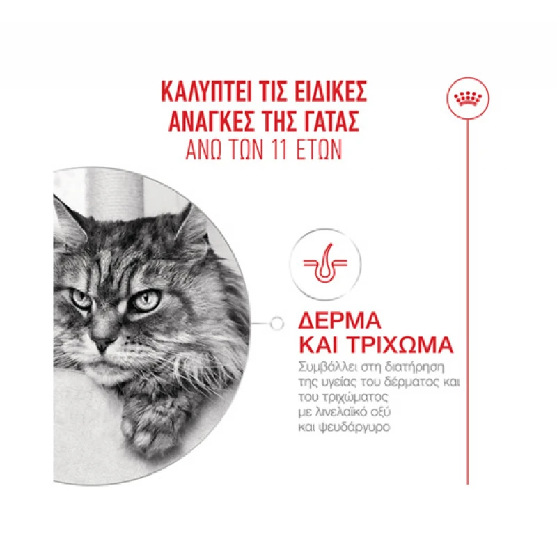 Royal Canin Cat Ageing +11 2kg  Γάτες