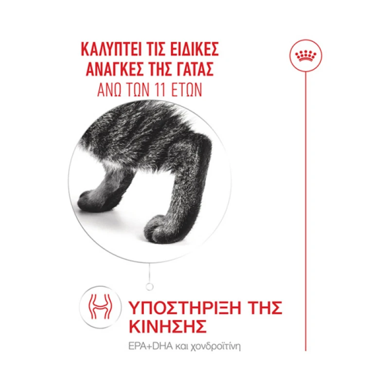 Royal Canin Cat Ageing +11 2kg  Γάτες
