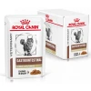 Royal Canin Cat GastroIntestinal Fibre Response 12x85gr (12τμχ)  Γάτες