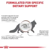 Royal Canin Cat GastroIntestinal Fibre Response 12x85gr (12τμχ)  Γάτες