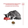Royal Canin Cat Fussy Exigent 2kg Γάτες Royal Canin Cat Fussy Exigent 2kg Γάτες