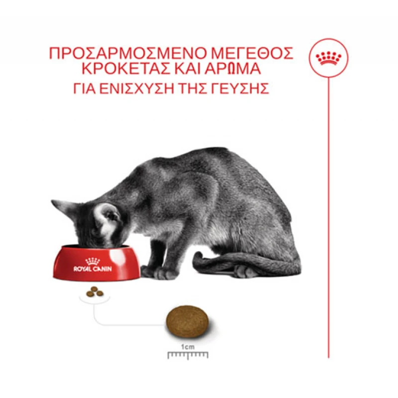 Royal Canin Cat Fussy Exigent 2kg Γάτες Royal Canin Cat Fussy Exigent 2kg Γάτες
