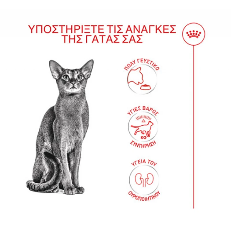 Royal Canin Cat Fussy Exigent 2kg Γάτες Royal Canin Cat Fussy Exigent 2kg Γάτες