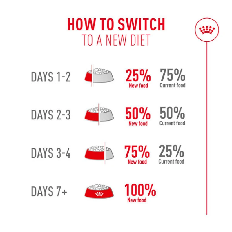 Royal Canin Cat Fussy Exigent 2kg Γάτες Royal Canin Cat Fussy Exigent 2kg Γάτες