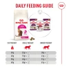 Royal Canin Cat Fussy Exigent 2kg Γάτες Royal Canin Cat Fussy Exigent 2kg Γάτες