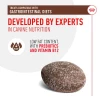 Royal Canin Gastrointestinal Treats Λιχουδιά για Σκύλους 230gr Σκύλοι Royal Canin Gastrointestinal Treats Λιχουδιά για Σκύλους 230gr Σκύλοι
