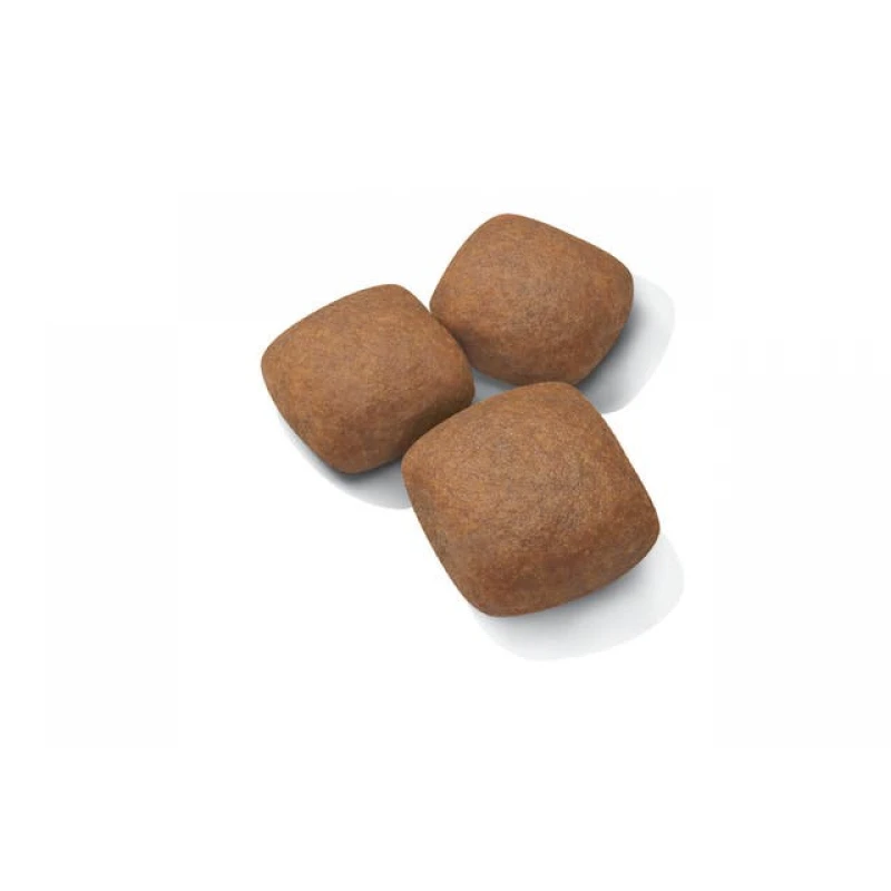 Royal Canin Giant Junior 15kg Σκύλοι Royal Canin Giant Junior 15kg Σκύλοι