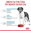 Royal Canin Giant Junior 15kg Σκύλοι Royal Canin Giant Junior 15kg Σκύλοι