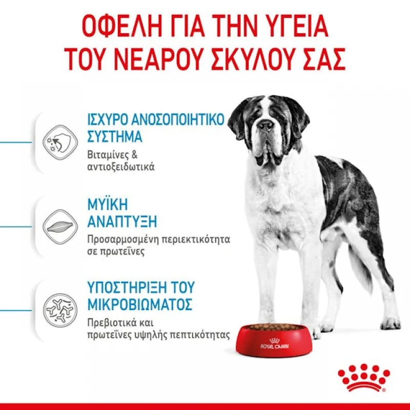 Royal Canin Giant Junior 15kg Σκύλοι Royal Canin Giant Junior 15kg Σκύλοι
