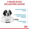Royal Canin Giant Junior 15kg Σκύλοι Royal Canin Giant Junior 15kg Σκύλοι