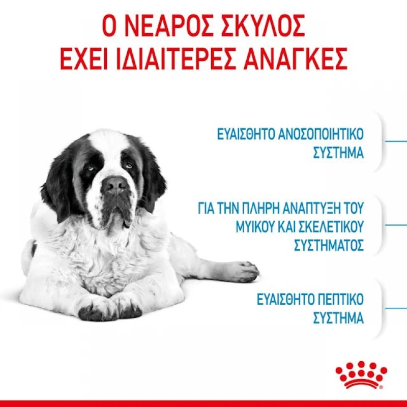 Royal Canin Giant Junior 15kg Σκύλοι Royal Canin Giant Junior 15kg Σκύλοι