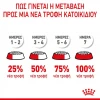 Royal Canin Giant Junior 15kg Σκύλοι Royal Canin Giant Junior 15kg Σκύλοι