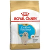 Royal Canin Golden Retriever Puppy 12kg Σκύλοι