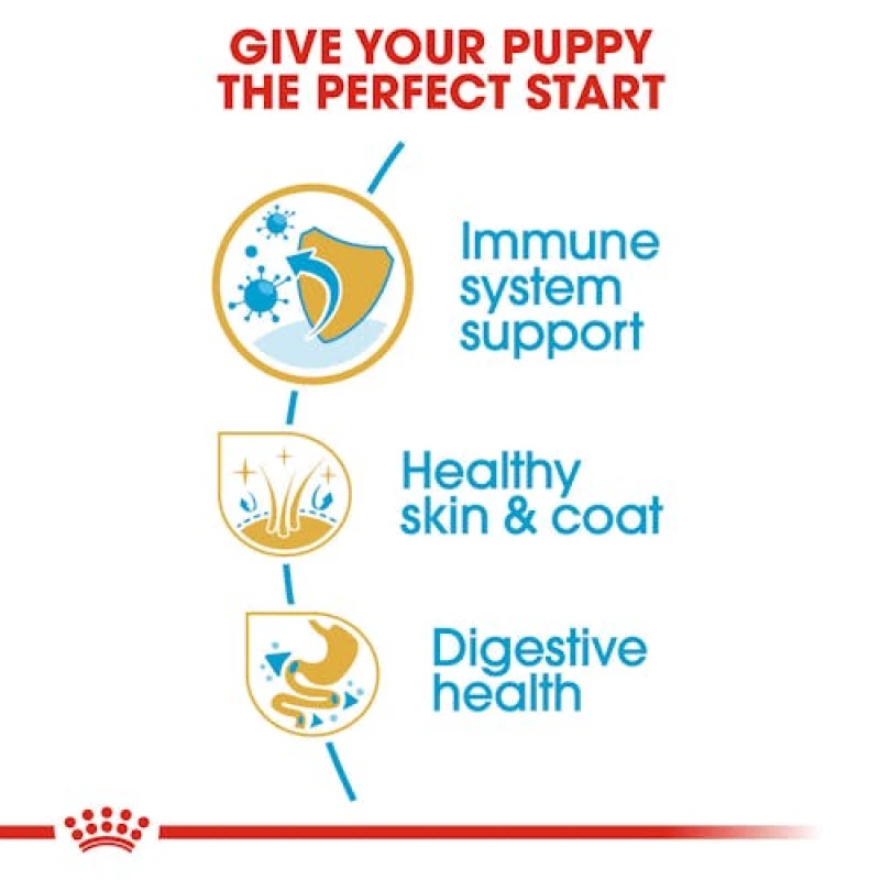 Royal Canin Golden Retriever Puppy 12kg Σκύλοι