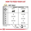 Royal Canin Urinary S/O Moderate Calorie Feline In Gravy 12x85gr (12τμχ) Γάτες Royal Canin Urinary S/O Moderate Calorie Feline In Gravy 12x85gr (12τμχ) Γάτες