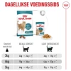 Ξηρά Τροφή Γάτας Royal Canin Cat Healthy Ageing Sterilised 11+ 2kg Γάτες