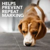Καθαριστικό Λεκέδων Simple Solution Stain and Odour Remover For Dogs 750ml ΣΚΥΛΟΙ