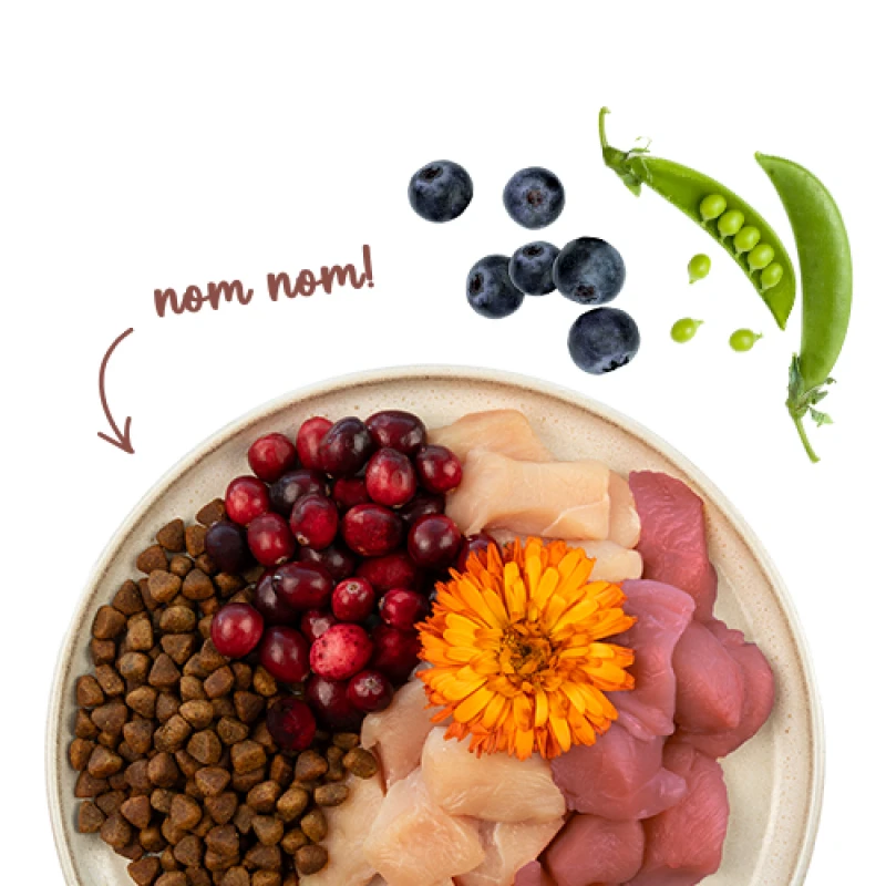 Sanabelle Adult Indoor 2kg Γάτες