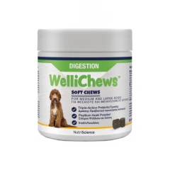 Wellichews Digestion Med/Large Dogs Συμπλήρωμα για το Πεπτικό 60τμχ Wellichews Digestion Med/Large Dogs Συμπλήρωμα για το Πεπτικό 60τμχ