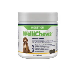 Wellichews Digestion Med/Large Dogs Συμπλήρωμα για το Πεπτικό 60τμχ Wellichews Digestion Med/Large Dogs Συμπλήρωμα για το Πεπτικό 60τμχ