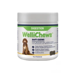 Wellichews Digestion Med/Large Dogs Συμπλήρωμα για το Πεπτικό 60τμχ Wellichews Digestion Med/Large Dogs Συμπλήρωμα για το Πεπτικό 60τμχ