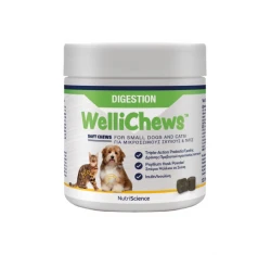 Wellichews Digestion Small Dogs & Cats Συμπλήρωμα για το Πεπτικό 120τμχ Wellichews Digestion Small Dogs & Cats Συμπλήρωμα για το Πεπτικό 120τμχ