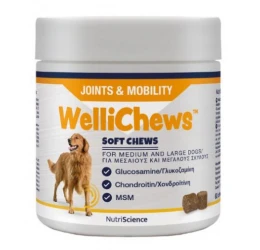 Wellichews Joints & Mobility Med/Large Dog Συμπλήρωμα για τις Αρθρώσεις 60τμχ Wellichews Joints & Mobility Med/Large Dog Συμπλήρωμα για τις Αρθρώσεις 60τμχ