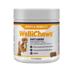 Wellichews Joints & Mobility Small Dog Συμπλήρωμα για τις Αρθρώσεις 120τμχ Wellichews Joints & Mobility Small Dog Συμπλήρωμα για τις Αρθρώσεις 120τμχ