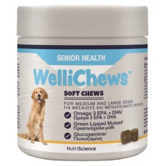 Wellichews Senior Health Med/Large Dogs Συμπλήρωμα για Ενέργεια 60τμχ Wellichews Senior Health Med/Large Dogs Συμπλήρωμα για Ενέργεια 60τμχ