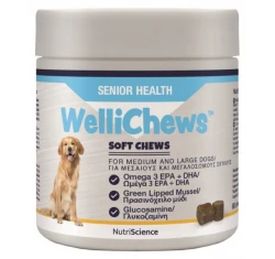 Wellichews Senior Health Med/Large Dogs Συμπλήρωμα για Ενέργεια 60τμχ Wellichews Senior Health Med/Large Dogs Συμπλήρωμα για Ενέργεια 60τμχ
