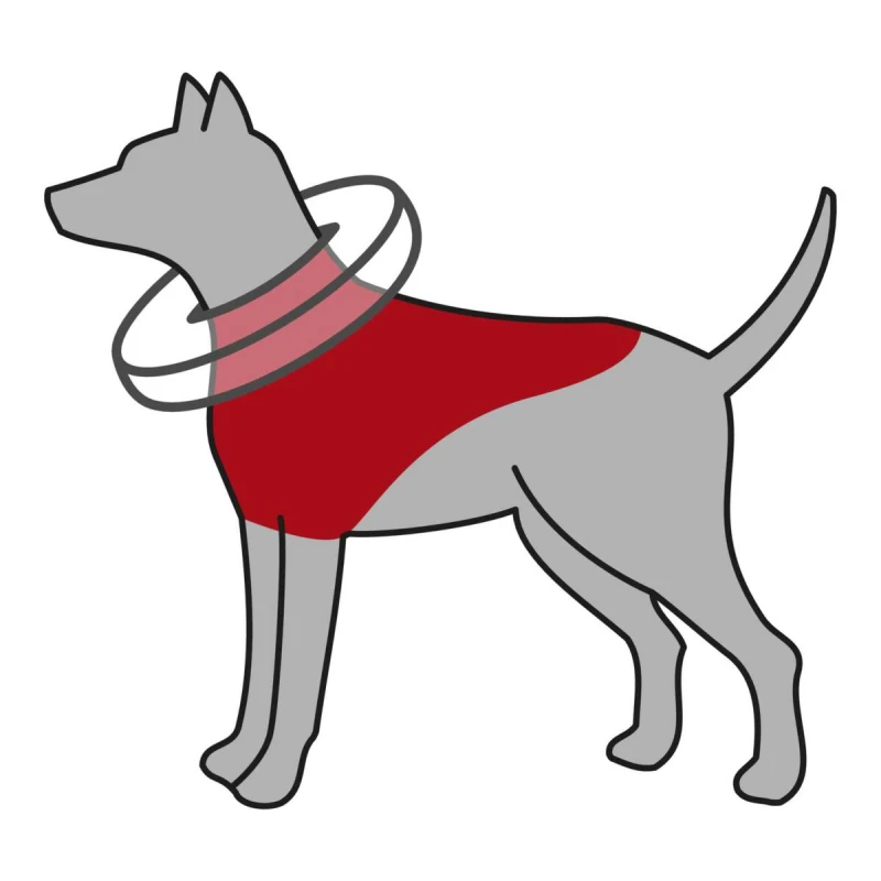 Trixie Protective collar Φουσκωτό Κολάρο Ελισάβετ για Σκύλους S-M 32-40cm ΣΚΥΛΟΙ