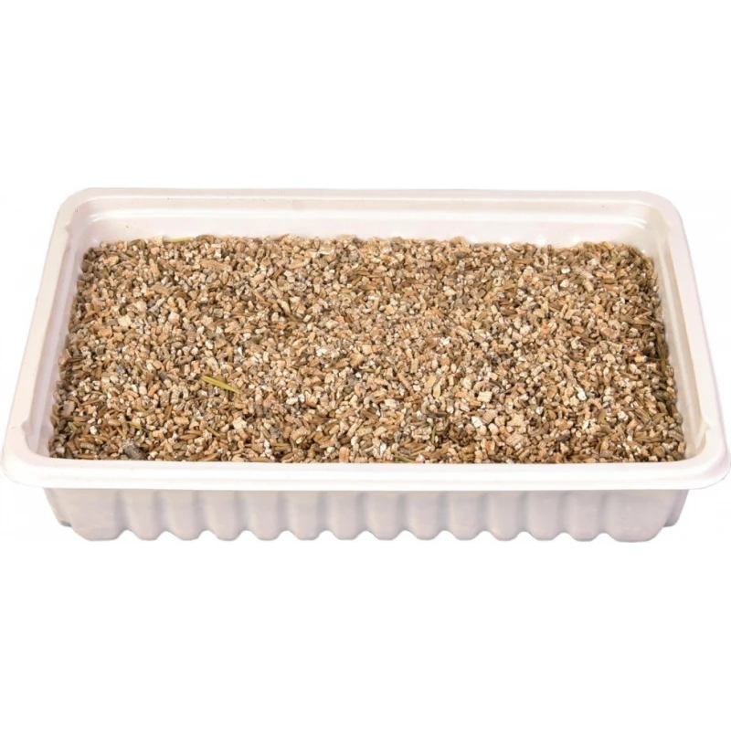 Trixie Γρασίδι - Χόρτο για Γάτες σε Πιάτο 100gr Γάτες