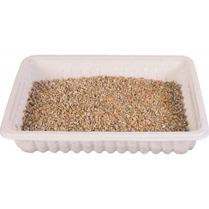 Trixie Μαλακό Γρασίδι για Γάτες & Γατάκια σε Πιάτο 100gr Γάτες