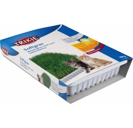 Trixie Μαλακό Γρασίδι για Γάτες & Γατάκια σε Πιάτο 100gr