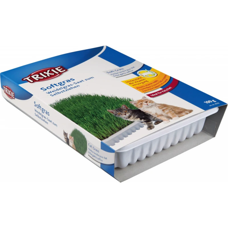 Trixie Μαλακό Γρασίδι για Γάτες & Γατάκια σε Πιάτο 100gr Γάτες