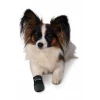 Trixie Walker Care Προστατευτικές Κάλτσες Σκύλου M 7,5x15cm (2τχμ) Μαύρο Σκύλοι