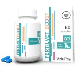 Vetapro Fertilvet Boost 60 κάψουλες για τη Γονιμότητα για Σκύλους Vetapro Fertilvet Boost 60 κάψουλες για τη Γονιμότητα για Σκύλους