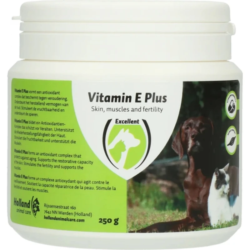 Vitamin E Plus Συμπλήρωμα Διατροφής 250gr ΣΥΜΠΛΗΡΩΜΑΤΑ ΔΙΑΤΡΟΦΗΣ & ΒΙΤΑΜΙΝΕΣ ΣΚΥΛΟΥ