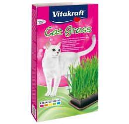 Γρασίδι για Γάτες Cat Grass της Vitakraft
