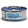Farmina Vet Life Hypoallergenic Pork & Potato Wet Food Cat 85gr Γάτες Farmina Vet Life Hypoallergenic Pork & Potato Wet Food Cat 85gr Γάτες