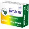 Συμπλήρωμα Διατροφής Vetfood Amylactiv Digest 30 Κάψουλες Για Ομαλή Πεπτική Λειτουργία Σε Σκύλους Και Γάτες