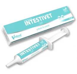 Συμπλήρωμα Διατροφής για Σκύλους, Γάτες και Μικρά Ζώα Vetfood Intestivet Gel 15ml για το Πεπτικό