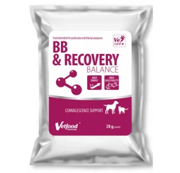 Vetfood Bb And Recovery Balance 20gr Για Σκύλους Και Γάτες Vetfood Bb And Recovery Balance 20gr Για Σκύλους Και Γάτες