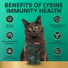 Συμπλήρωμα διατροφής γάτας Vetriscience Immunity Health 120τμχ κατά του ερπητοϊού Γάτες Συμπλήρωμα διατροφής γάτας Vetriscience Immunity Health 120τμχ κατά του ερπητοϊού Γάτες