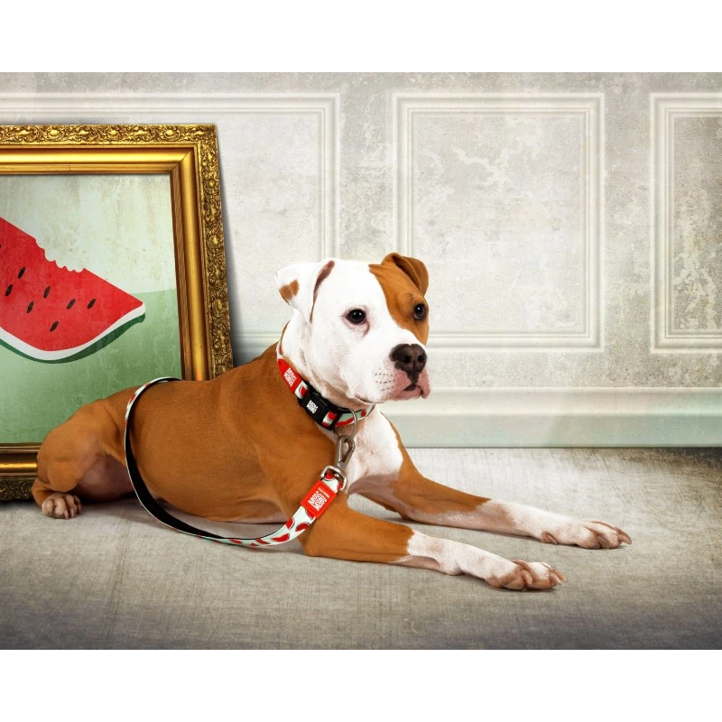 Περιλαίμιο Max & Molly Watermelon XSmall 1x22-35cm ΠΕΡΙΛΑΙΜΙΑ - ΟΔΗΓΟΙ - ΣΑΜΑΡΑΚΙΑ