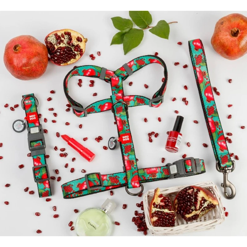 Περιλαίμιο WauDog Grenades Plastic Fastex M 20mm x 28-40cm με SmartID Σκύλοι